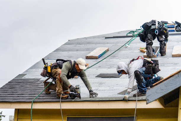 Professional Gutter Installation technician working in Chrisman, IL